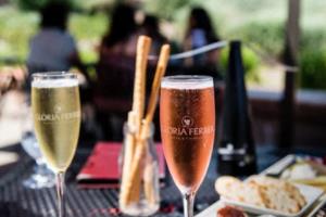 本届英超联赛，中国球员的崛起与挑战本届英超联赛的中国球员