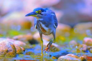 英超联赛中的女强人，她不仅在场上，更在场下重塑球队的灵魂英超联赛女强人